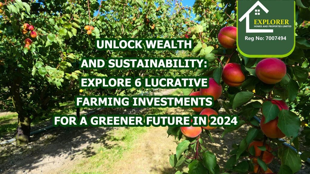 6 types of profitable eco friendly farming investment you need to purchase hectares of land to start and become wealthy 2024